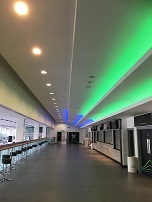 Arena 11