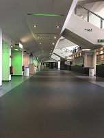 Arena 3